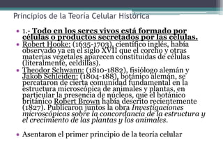 Robert Hooke: (1635-1703), científico inglés, había observado ya en el siglo XVII que el corcho y otras materias vegetales aparecen constituidas de células (literalmente, celdillas). 
