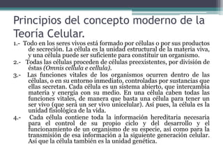 RudolfVirchow: (1821-1902), médico alemán, interesado en la especificidad celular de la patología (sólo algunas clases de células parecen implicadas en cada enfermedad). Añadió que la división es por bipartición, porque a pesar de ciertas apariencias, la división es siempre, en el fondo, binaria. Concepto Moderno de Teoría CelularLa teoría celular fue debatida a lo largo del siglo XIX, pero fue Pasteur el que, con sus experimentos sobre la multiplicación de los microorganismos unicelulares, dio lugar a su aceptación rotunda y definitiva.