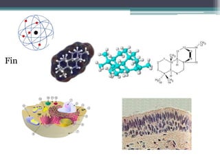 BIBLIOGRAFÍAH. Curtis, 2008, Curtis biología, 7º ed., Editorial Panamericana.Capítulo 17: Evolución: historia de la teoría y sus evidencias. Pág., 331 -  352H. Curtis, 2000, Curtis biología, 6º ed., Editorial Panamericana. Introducción. Pág., 1–22.Capítulo 14 y 15, 2003, Audesirk, Biología, La vida en la tierra. 6ta. Ed. Pág.270 - 304 