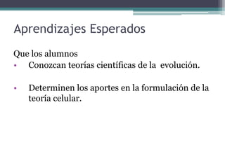 EXPOSICIÓN EN EQUIPO A PARTIRDEL ESTUDIO REALIZADO
