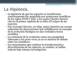 Mecanismos del Cambio Evolutivo Selección naturalDeriva genéticaMutaciónMigración (flujo genético) 