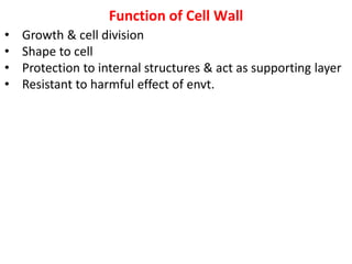 Function of Cell Wall
• Growth & cell division
• Shape to cell
• Protection to internal structures & act as supporting layer
• Resistant to harmful effect of envt.
 