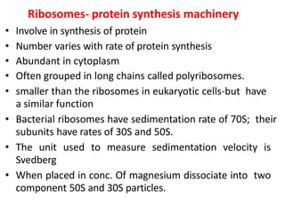Ribosomes- protein synthesis machinery
• Involve in synthesis of protein
• Number varies with rate of protein synthesis
• Abundant in cytoplasm
• Often grouped in long chains called polyribosomes.
• smaller than the ribosomes in eukaryotic cells-but have
a similar function
• Bacterial ribosomes have sedimentation rate of 70S; their
subunits have rates of 30S and 50S.
• The unit used to measure sedimentation velocity is
Svedberg
• When placed in conc. Of magnesium dissociate into two
component 50S and 30S particles.
 