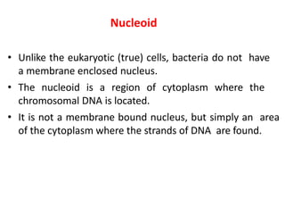 Nucleoid
• Unlike the eukaryotic (true) cells, bacteria do not have
a membrane enclosed nucleus.
• The nucleoid is a region of cytoplasm where the
chromosomal DNA is located.
• It is not a membrane bound nucleus, but simply an area
of the cytoplasm where the strands of DNA are found.
 