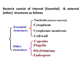 Bacteria consist of internal (Essential) & external
(other) structures as follows
 