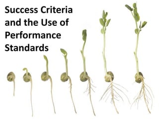 Success Criteria
and the Use of
Performance
Standards
 