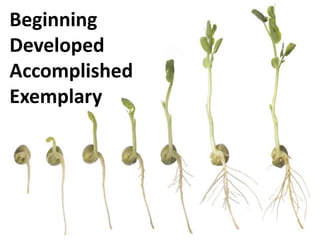 Beginning
Developed
Accomplished
Exemplary
 