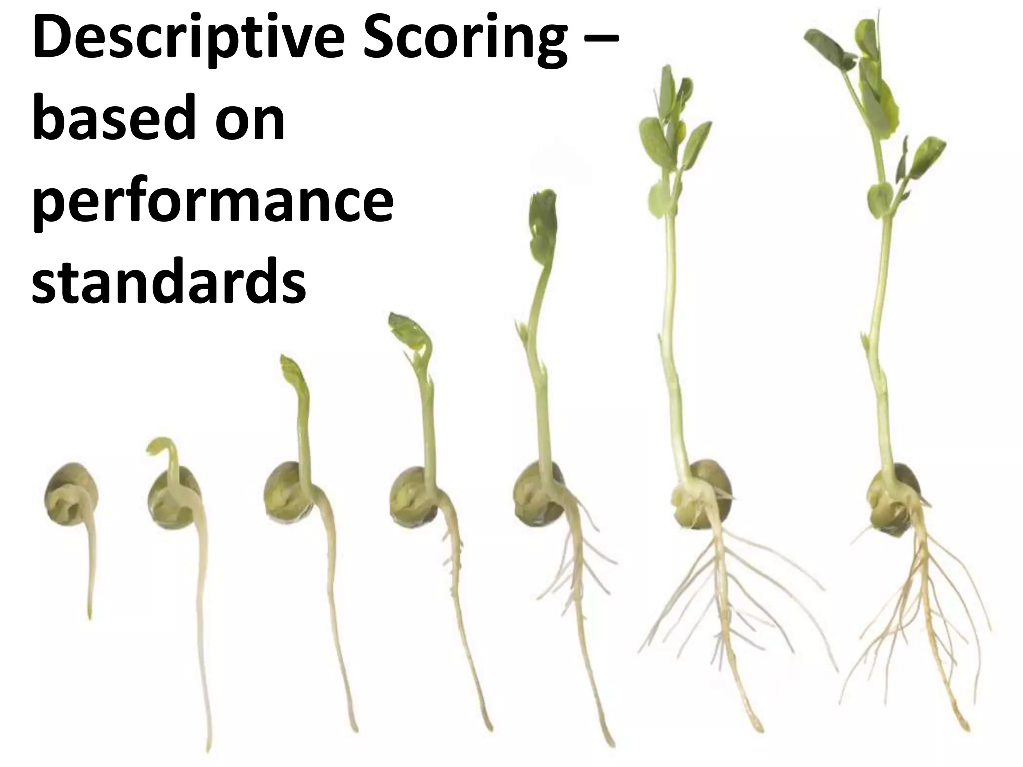 Descriptive Scoring –
based on
performance
standards

 