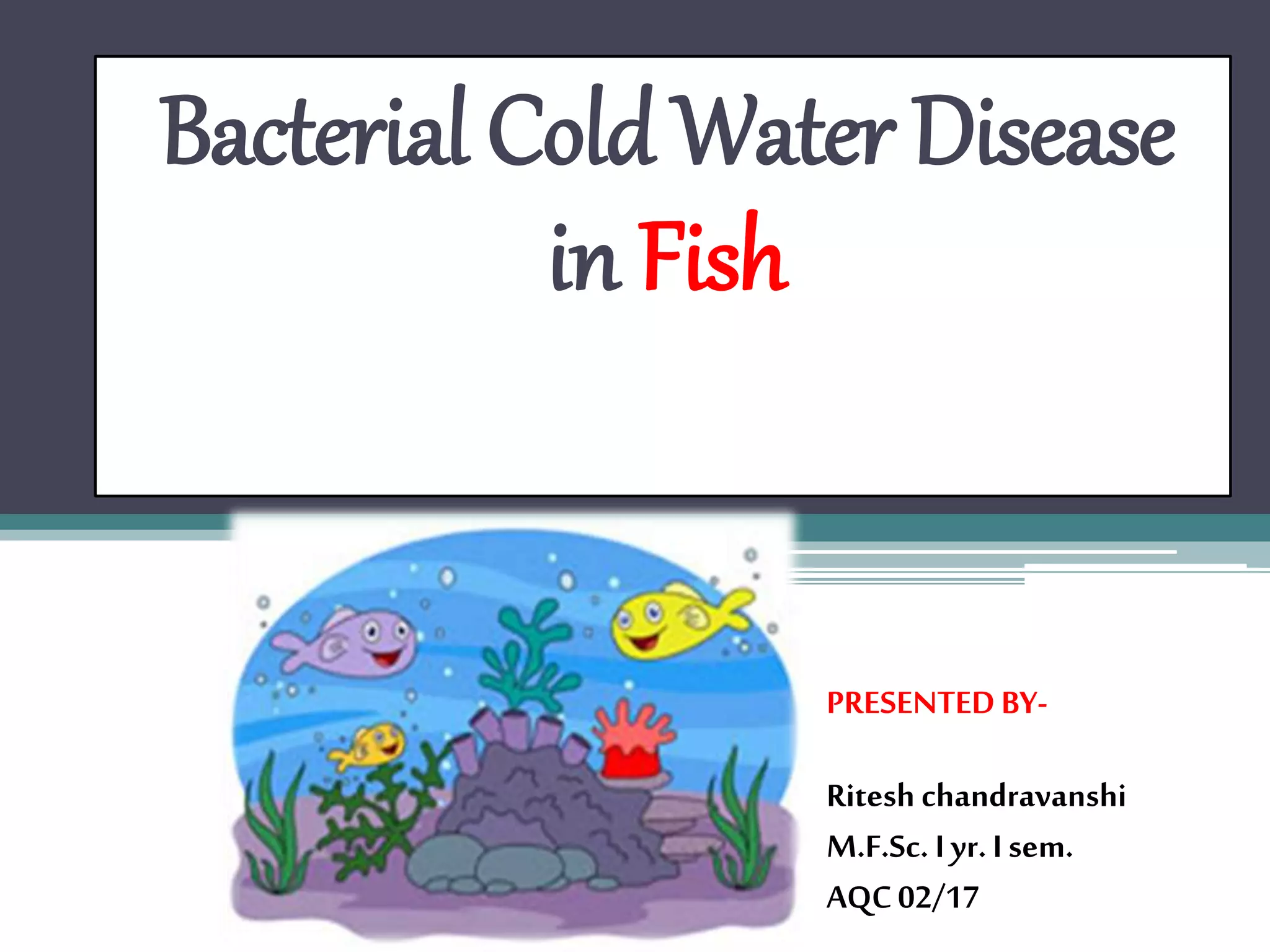 Curated visual reference: Picture Idea: Bacterial Cold Water Disease In Fishes Ritesh