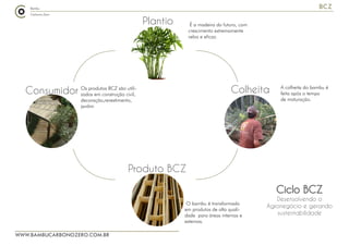 WWW.BAMBUCARBONOZERO.COM.BR
BCZ
Ciclo BCZ
Desensolvendo o
Agronegócio e gerando
sustentabilidade
Plantio É a madeira do futuro, com
crescimento extremamente
veloz e eficaz.
Colheita A colheita do bambu é
feita após o tempo
de maturação.
Produto BCZ
O bambu é transformado
em produtos de alta quali-
dade para áreas internas e
externas.
Consumidor Os produtos BCZ são utili-
zados em construção civil,
decoração,revestimento,
jardim
 