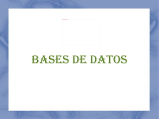 Bases De DatoS 