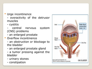 Obstructive Overflow (bowel and bladder incontinence)B&D.pptx