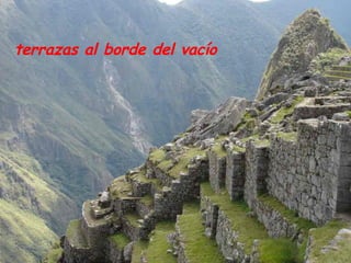 Bd 313 Los Incas