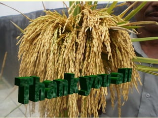 1509 - Identification of the Critical Factors of SRI for maximizing ...