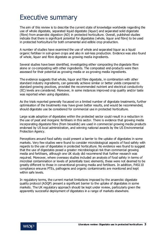 Executive summary sample for proposal picture