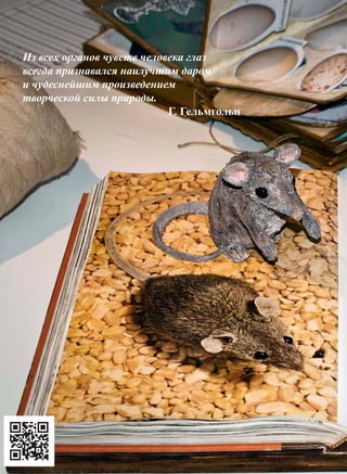 (189)03 '13
Из всех органов чувств человека глаз
всегда признавался наилучшим даром
и чудеснейшим произведением
творческой силы природы.
Г. Гельмгольц
Специальные библиотеки
 