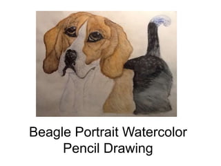 Beagle Portrait Watercolor
Pencil Drawing
 
