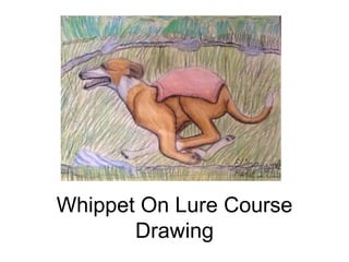 Whippet On Lure Course
Drawing
 