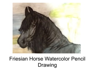 Friesian Horse Watercolor Pencil
Drawing
 