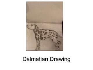 Dalmatian Drawing
 