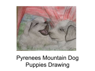 Pyrenees Mountain Dog
Puppies Drawing
 