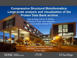 PDB
RCSB
Compressive Structural Bioinformatics:
Large-scale analysis and visualization of the
Protein Data Bank archive
Peter W. Rose, Anthony R. Bradley,
Alexander S. Rose, Yana Valasatava,
Jose M. Duarte, Andreas Prlić
Structural Bioinformatics Laboratory
San Diego Supercomputer Center
UC San Diego
 