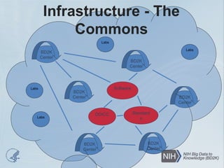 BD2K
Center
BD2K
Center
BD2K
Center
BD2K
Center
BD2K
Center
BD2K
Center
DDICC
Software
Standard
s
Infrastructure - The
Commons
Labs
Labs
Labs
Labs
 