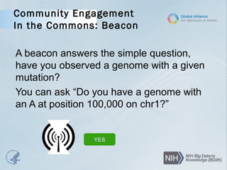Community Engagement
In the Commons: Beacon
A beacon answers the simple question,
have you observed a genome with a given
mutation?
You can ask “Do you have a genome with
an A at position 100,000 on chr1?”
YES
 