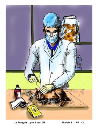 Le Français ...pas à pas 3B Module 9 J-5 - 2
 