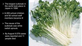  The largest outbreak in
the world took place in
Japan in 1996
 The cause of the
outbreak was white
radish sprouts
 6,309 school children
and 92 school staff
members became ill
 By August 9,578 cases
were reported and 11
people died
 