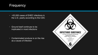 Frequency
• ~63,000 cases of EHEC infections in
the U.S. yearly according to the CDC
• Ground beef continues to be
implicated in most infections
• Contaminated produce is on the rise
as a cause of infection
 