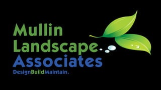 Mullin Power Point
