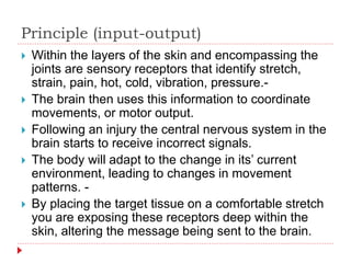 Principle (input-output)
 Within the layers of the skin and encompassing the
joints are sensory receptors that identify stretch,
strain, pain, hot, cold, vibration, pressure.-
 The brain then uses this information to coordinate
movements, or motor output.
 Following an injury the central nervous system in the
brain starts to receive incorrect signals.
 The body will adapt to the change in its’ current
environment, leading to changes in movement
patterns. -
 By placing the target tissue on a comfortable stretch
you are exposing these receptors deep within the
skin, altering the message being sent to the brain.
 