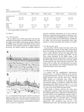 3.2. Stage 2
3.2.1. Clinical aspect
All six rabbits in the AUTO group fared well until the
scheduled sacriﬁced date at 4 months postoperatively, as did
ﬁve rabbits in the VEGF control group, and three rabbits in
the PERIC group. One rabbit in the VEGF injection control
group died. As this operation entailed no surgical trauma to
the airway, the animal’s demise was probably related to
excessive anesthesia and hypoxia, as it never woke up.
Progressive respiratory distress resulted in premature sacri-
ﬁce in three rabbits from the PERIC group at 3 months. This
was even more striking in the STENT group. Amongst the
six rabbits who had received intraluminal stents, three
expired at 1 month, and another three expired at 2 months.
3.2.2. Macroscopic aspect
In concordance with the clinical outcomes, both in the
AUTO group and in controls, the inner aspect of the tracheal
lumen was smooth and widely patent. Interestingly, there
was no visible difference between the upper half of the
patch, which had been pretreated with VEGF, and the
lower control half-patch. In the PERIC group, a thin
protruding ridge into the tracheal lumen was present along
the entire length of the anastomotic line, and again, equally
at both pretreated and control half-patch suture lines. The
lumen of the six rabbits after stent placement was grossly
stenosed, with granulation tissue bulging through the stent
meshwork along its entire inner surface.
3.2.3. Microscopic aspect
In contrast with the morphological characteristics
described above, no statistical difference in the intensity
of immunohistochemical staining was found between the
VEGF pretreated zones and the saline zones, although
VEGF staining was consistently more intense in the
VEGF-treated zones. Accordingly, for the grading system
and statistical analysis, we decided to combine the results
with regards to the VEGF density of zones 0, 11 or 12 on
both the VEGF and saline extremities. These are presented
as a mean value of the VEGF and saline results.
With regards to ﬁbrosis, however, the saline zones
systematically contained a higher percentage compared to
the VEGF-pretreated zones, suggesting an inhibitory effect
of topical VEGF on the inﬂammatory response (Table 1).
This was statistically signiﬁcant when considering ﬁbrosis
after pericardial repair in non-treated zones as compared
with autograft repair or controls (P , 0:05 and P , 0:04,
respectively). Also, granulation tissue was less in the
VEGF-pretreated zones after pericardial repair and stent
A. Dodge-Khatami et al. / European Journal of Cardio-thoracic Surgery 23 (2003) 6–14 9
Table 1
Results of histological analysisa
AUTO 4 months PERIC 3 months PERIC 4 months STENT 2 months Control 4 months
Granulation tissue
Saline 0.0 ^ 0.0 1.0 ^ 0.9 0.3 ^ 0.5 0.4 ^ 0.7 0.0 ^ 0.0
VEGF 0.0 ^ 0.0 0.3 ^ 0.5 0.0 ^ 0.0 0.9 ^ 0.9 0.0 ^ 0.0
P value – , 0.7 , 0.08 , 0.3 –
Fibrosis (%)
Saline 0.8 ^ 2.9 12.5 ^ 17.5 13.3 ^ 15.8 7.8 ^ 13.7 0.0 ^ 0.0
VEGF 0.0 ^ 0.0 4.2 ^ 8.0 2.8 ^ 6.7 2.8 ^ 5.1 0.0 ^ 0.0
P value , 0.4 , 0.3 , 0.1 , 0.4 –
a
AUTO, autograft; PERIC, pericardial repair.
Fig. 1. (a,b) Immunohistochemical detection of VEGF at 4 months post-
operatively. Trachea from a control rabbit (a) and after autograft repair (b).
Original magniﬁcation 400 £ . Open arrows indicate strong positivity of the
epithelium for VEGF, and a closed arrow indicates strong VEGF positivity
in plasmacells. * indicates trace positivity of the endothelium for VEGF. L,
lumen; E, epithelium; S, subepithelium.
 