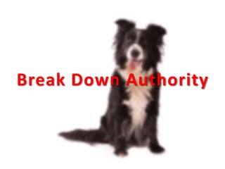 Break Down Authority
 