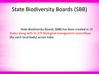 State Biodiversity Boards (SBB)
State Biodiversity Boards (SBB) has been created in 28
States along with 31,574 Biological management committees
(for each local body) across India.
 