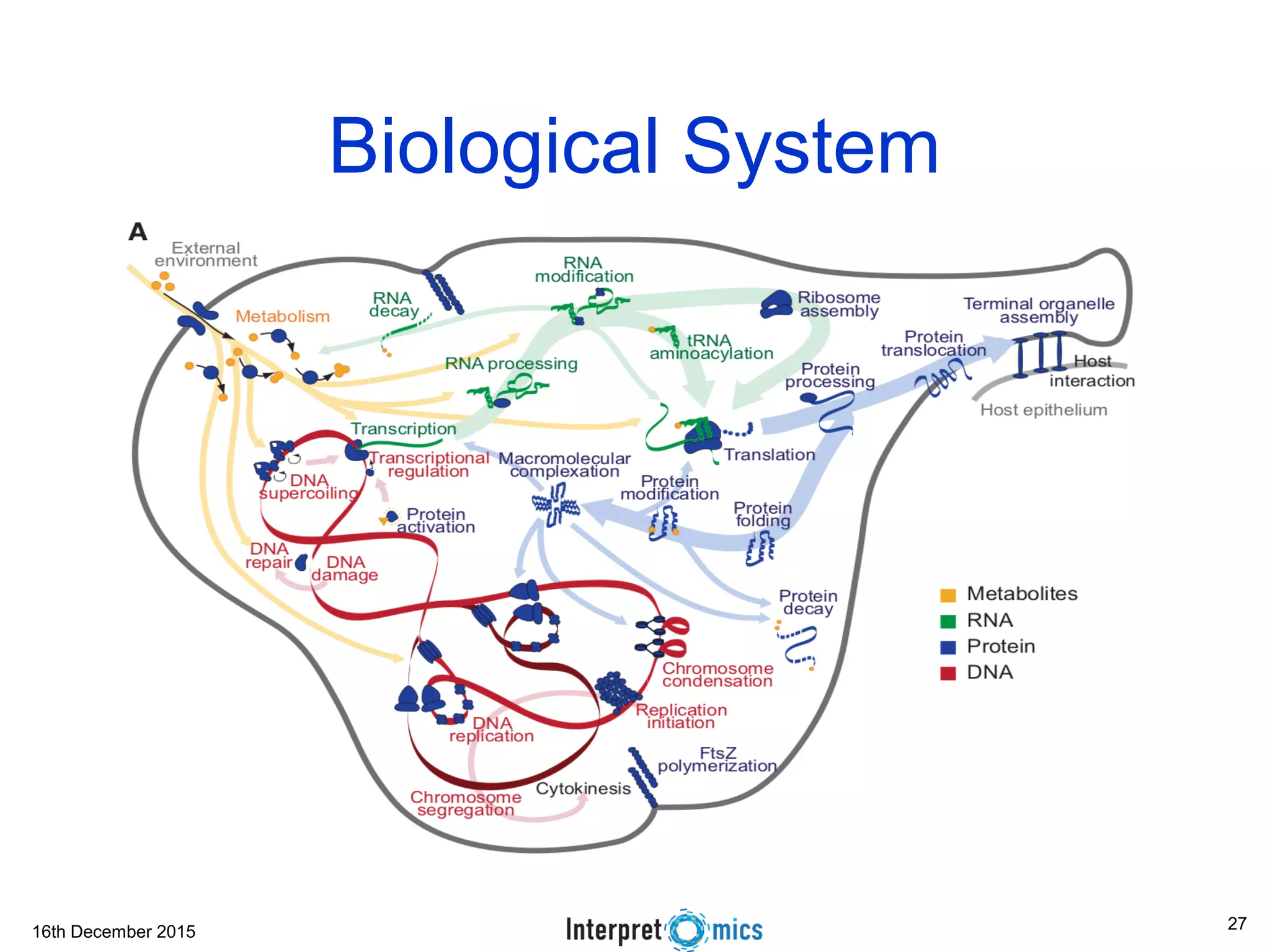 16th December 2015
Biological System
27
 