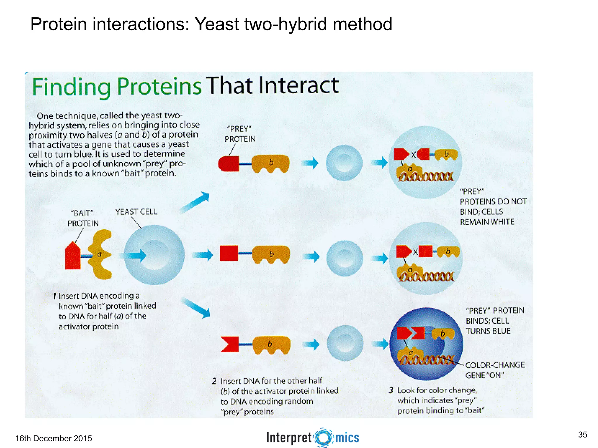 16th December 2015
Protein interactions: Yeast two-hybrid method
35
 