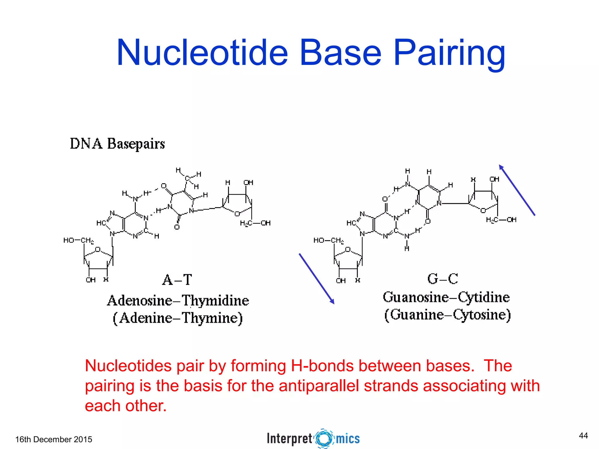 16th December 2015
Nucleotide Base Pairing
Nucleotides pair by forming H-bonds between bases. The
pairing is the basis for the antiparallel strands associating with
each other.
44
 
