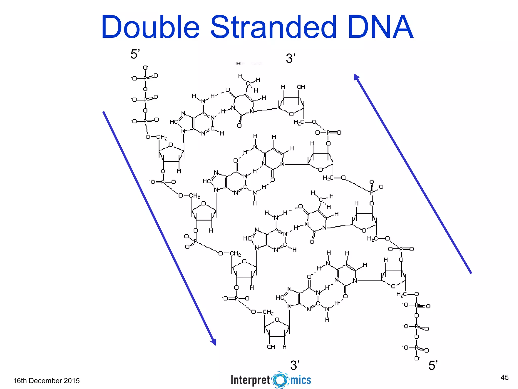 16th December 2015
3’
3’ 5’
5’
Single Stranded DNADouble Stranded DNA
45
 