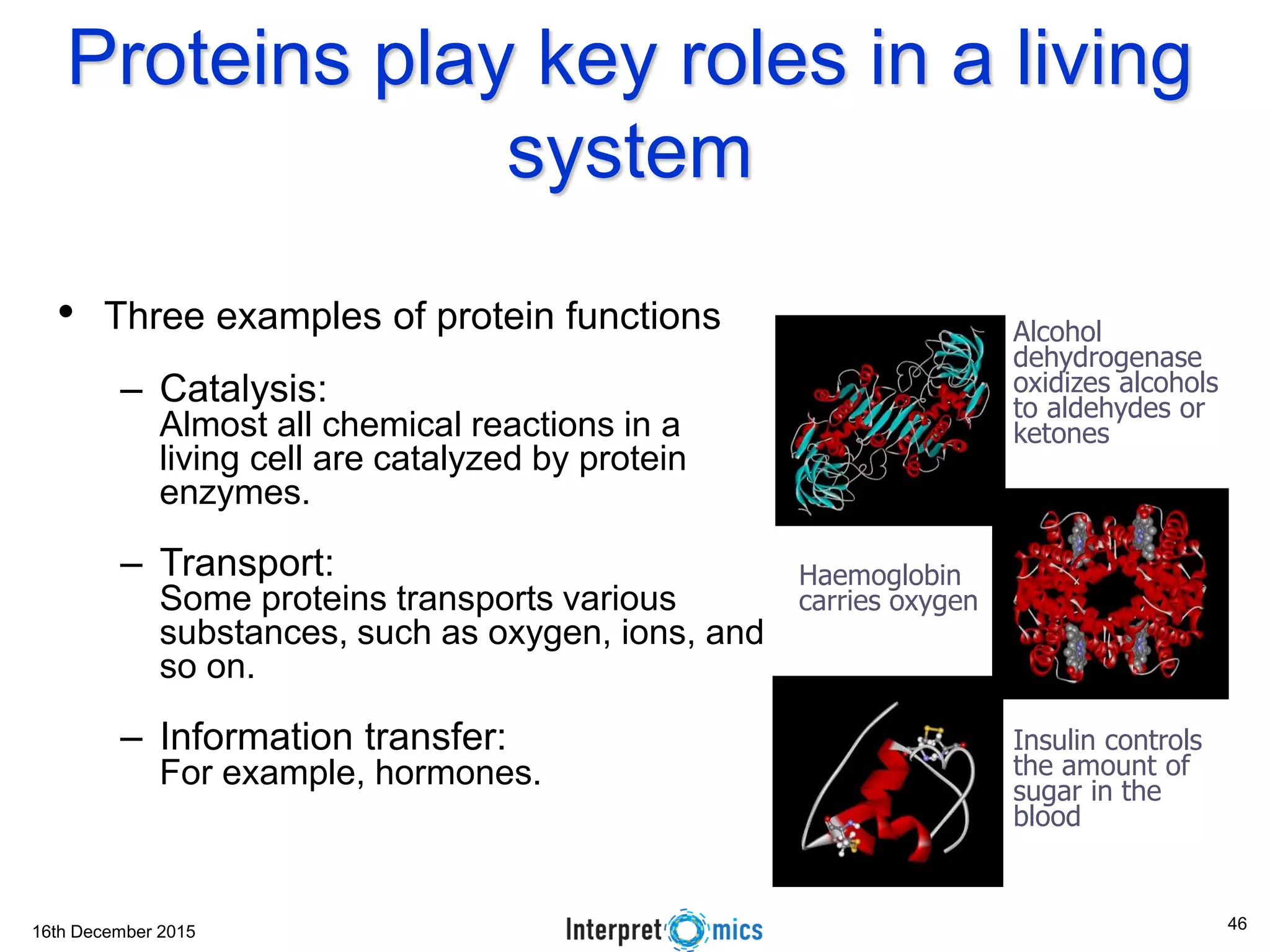 16th December 2015
Proteins play key roles in a living
system
• Three examples of protein functions
– Catalysis:
Almost all chemical reactions in a
living cell are catalyzed by protein
enzymes.
– Transport:
Some proteins transports various
substances, such as oxygen, ions, and
so on.
– Information transfer:
For example, hormones.
Alcohol
dehydrogenase
oxidizes alcohols
to aldehydes or
ketones
Haemoglobin
carries oxygen
Insulin controls
the amount of
sugar in the
blood
46
 