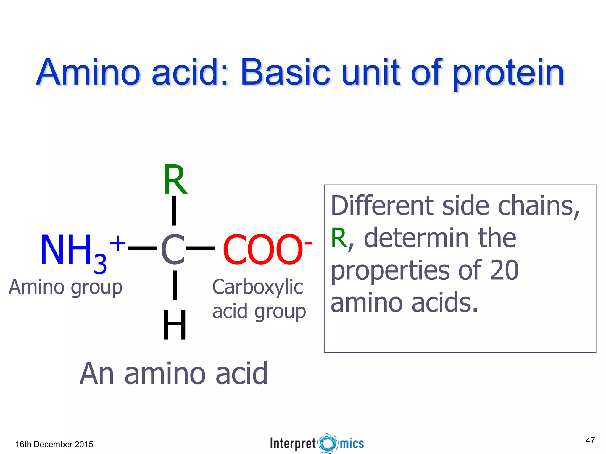 16th December 2015
Amino acid: Basic unit of protein
COO-NH3
+ C
R
H
An amino acid
Different side chains,
R, determin the
properties of 20
amino acids.
Amino group Carboxylic
acid group
47
 