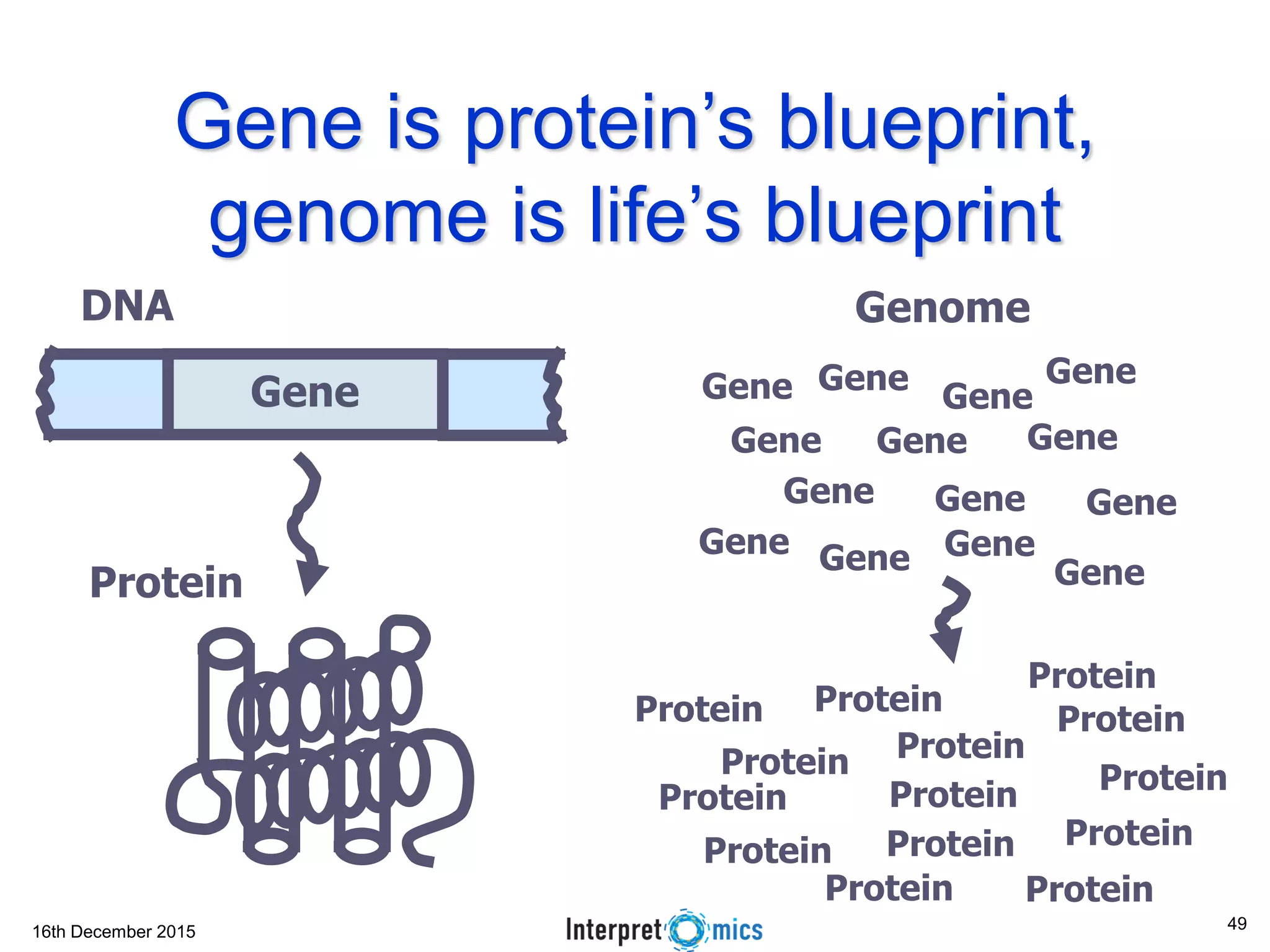 16th December 2015
Gene is protein’s blueprint,
genome is life’s blueprint
Gene
GenomeDNA
Protein
Gene Gene
Gene
Gene
Gene
Gene
GeneGene
GeneGene
GeneGene
Gene
Gene
Protein Protein
Protein
Protein
Protein
ProteinProtein
Protein
Protein
Protein
Protein
Protein
Protein
Protein
49
 