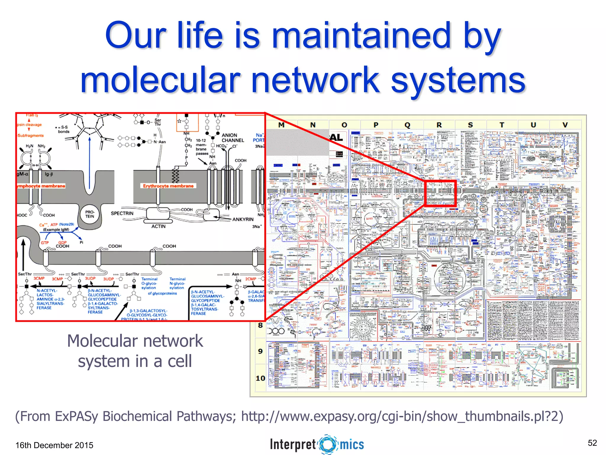 16th December 2015
Our life is maintained by
molecular network systems
Molecular network
system in a cell
(From ExPASy Biochemical Pathways; http://www.expasy.org/cgi-bin/show_thumbnails.pl?2)
52
 