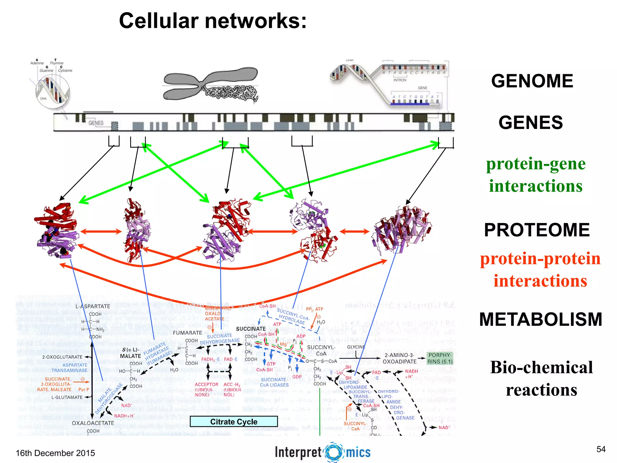 16th December 2015
protein-gene
interactions
protein-protein
interactions
PROTEOME
GENOME
METABOLISM
Bio-chemical
reactions
Citrate Cycle
Cellular networks:
GENES
54
 