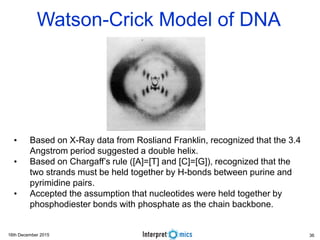 16th December 2015
• Based on X-Ray data from Rosliand Franklin, recognized that the 3.4
Angstrom period suggested a double helix.
• Based on Chargaff’s rule ([A]=[T] and [C]=[G]), recognized that the
two strands must be held together by H-bonds between purine and
pyrimidine pairs.
• Accepted the assumption that nucleotides were held together by
phosphodiester bonds with phosphate as the chain backbone.
Watson-Crick Model of DNA
36
 