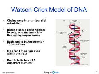 16th December 2015
Watson-Crick Model of DNA
• Chains were in an antiparallel
orientation
• Bases stacked perpendicular
to helix axis and associate
through hydrogen bonds
• Each turn is 34 Angstroms =
10 bases/turn
• Major and minor grooves
within the helix
• Double helix has a 20
Angstrom diameter
42
 