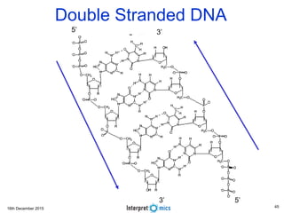 16th December 2015
3’
3’ 5’
5’
Single Stranded DNADouble Stranded DNA
45
 
