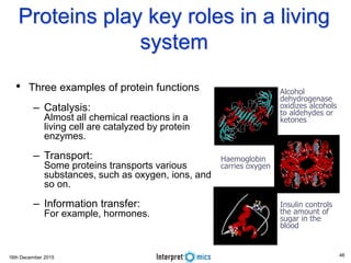 16th December 2015
Proteins play key roles in a living
system
• Three examples of protein functions
– Catalysis:
Almost all chemical reactions in a
living cell are catalyzed by protein
enzymes.
– Transport:
Some proteins transports various
substances, such as oxygen, ions, and
so on.
– Information transfer:
For example, hormones.
Alcohol
dehydrogenase
oxidizes alcohols
to aldehydes or
ketones
Haemoglobin
carries oxygen
Insulin controls
the amount of
sugar in the
blood
46
 