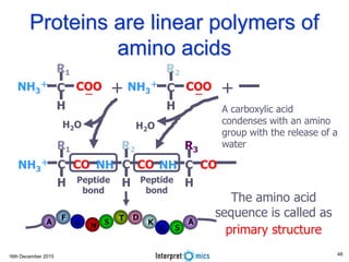 16th December 2015
Proteins are linear polymers of
amino acids
R1
NH3
＋ C CO
H
R2
NH C CO
H
R3
NH C CO
H
R2
NH3
＋
C COO
ー
H
＋
R1
NH3
＋
C COO
ー
H
＋
H2OH2O
Peptide
bond
Peptide
bond
The amino acid
sequence is called as
primary structure
A A
F
NG
G
S
T
S
D
K
A carboxylic acid
condenses with an amino
group with the release of a
water
48
 